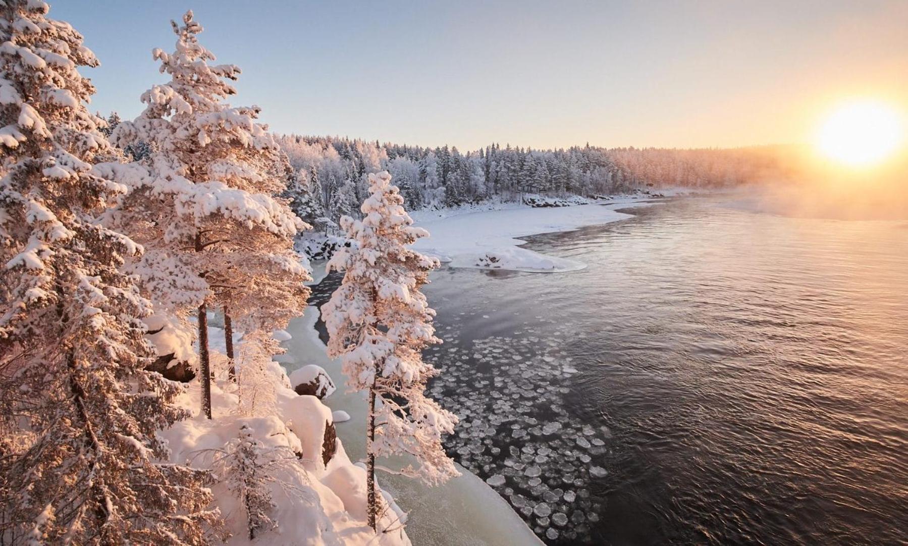 Skog Aurora Igloos Villa Kalix Buitenkant foto