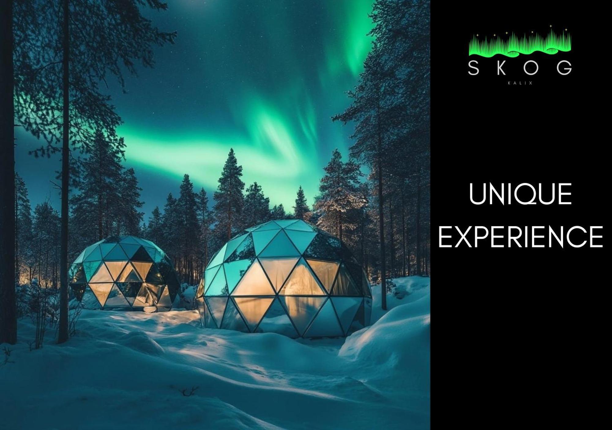 Skog Aurora Igloos Villa Kalix Buitenkant foto