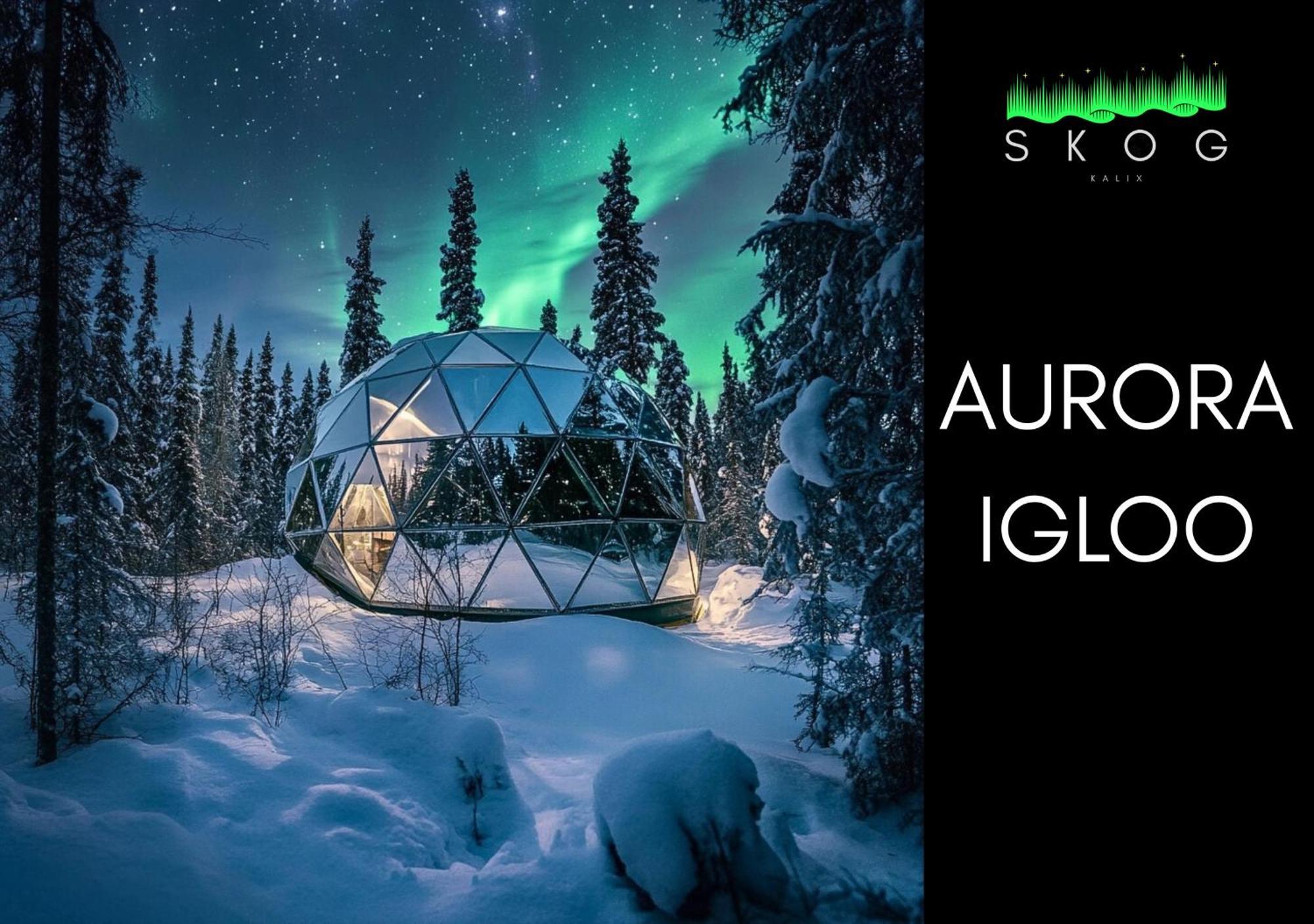 Skog Aurora Igloos Villa Kalix Buitenkant foto