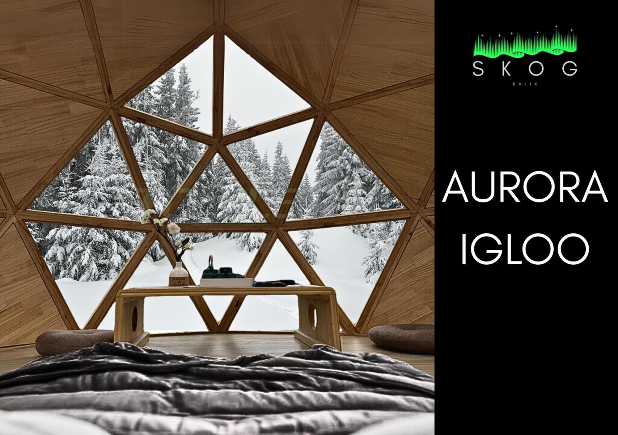 Skog Aurora Igloos Villa Kalix Buitenkant foto