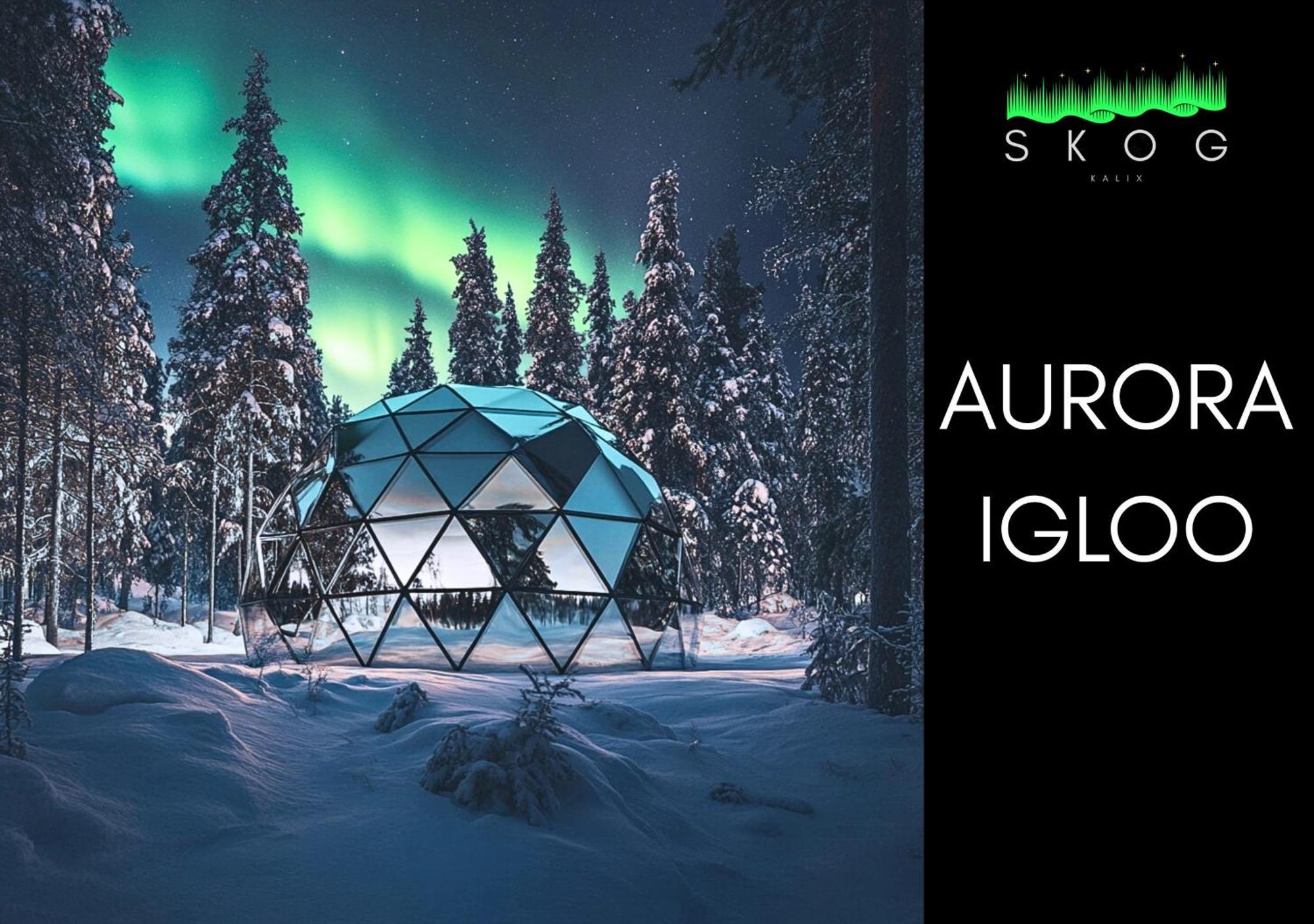 Skog Aurora Igloos Villa Kalix Buitenkant foto