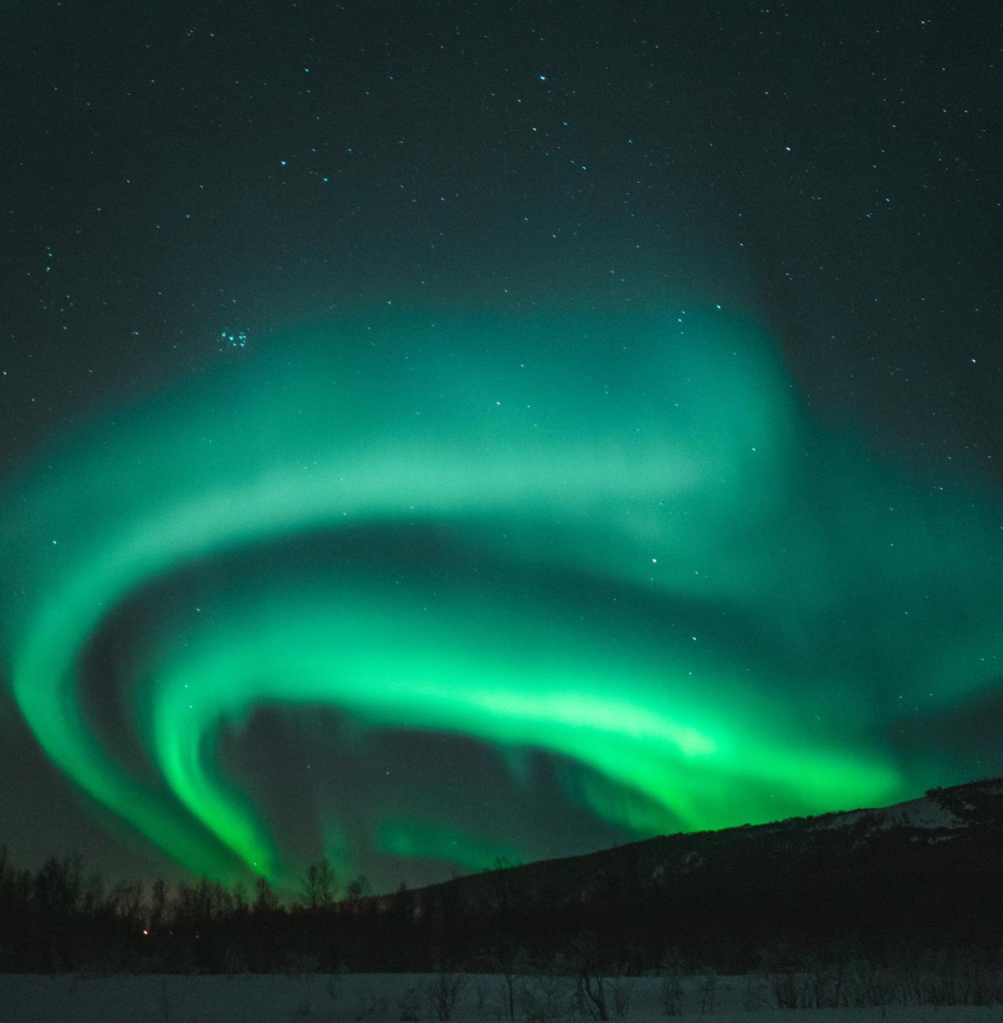 Skog Aurora Igloos Villa Kalix Buitenkant foto