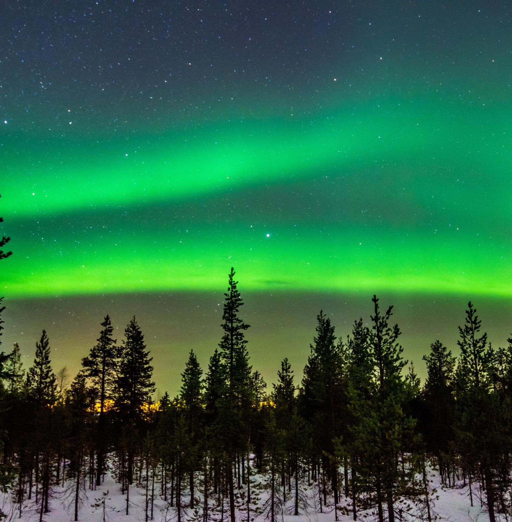 Skog Aurora Igloos Villa Kalix Buitenkant foto