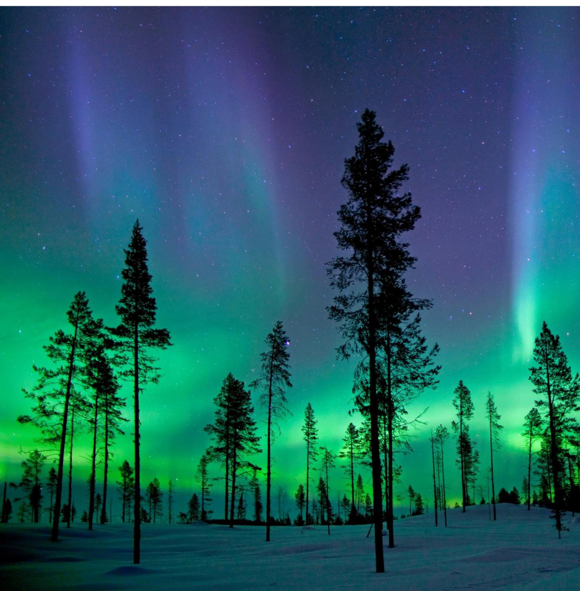 Skog Aurora Igloos Villa Kalix Buitenkant foto