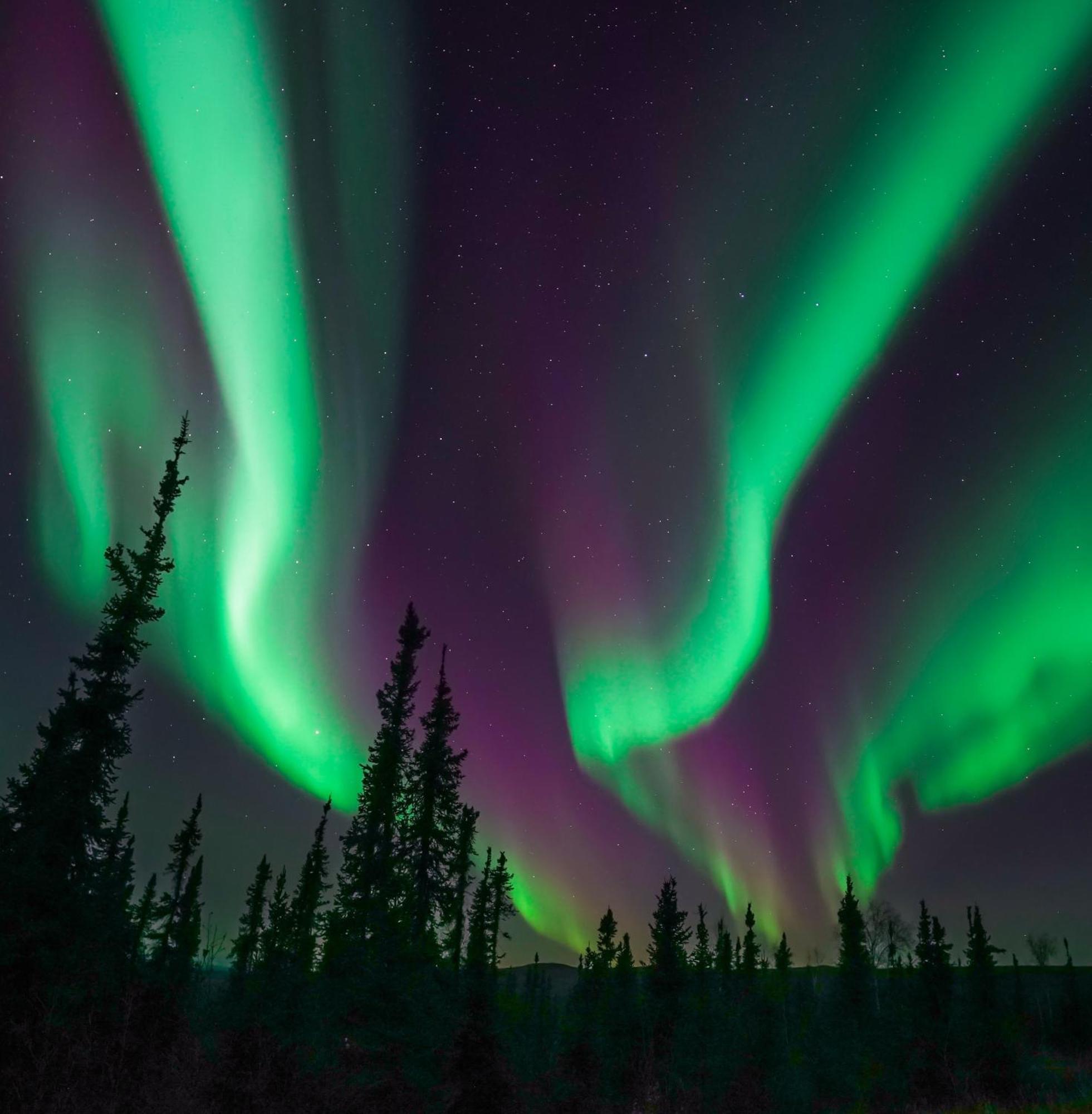 Skog Aurora Igloos Villa Kalix Buitenkant foto