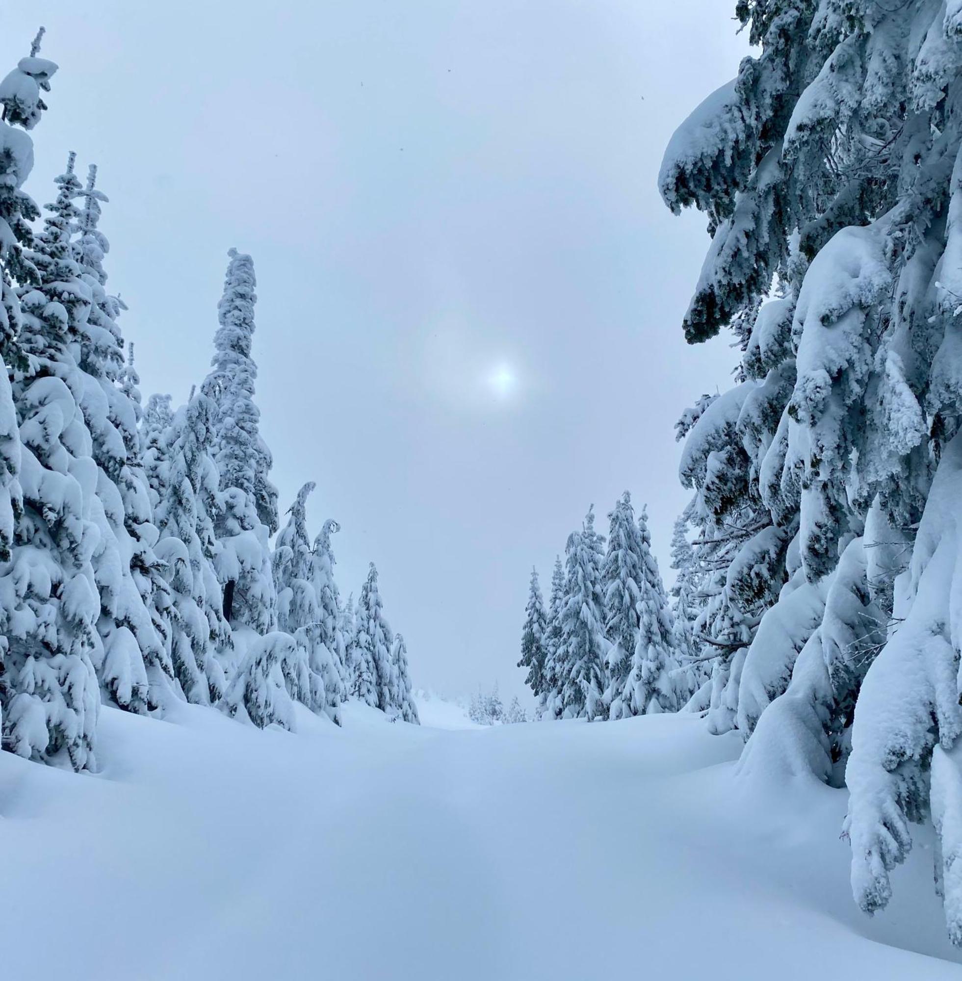 Skog Aurora Igloos Villa Kalix Buitenkant foto