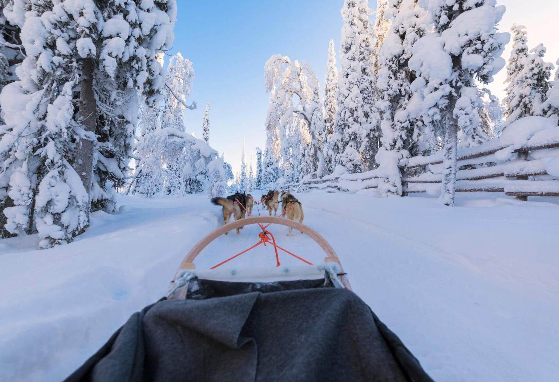 Skog Aurora Igloos Villa Kalix Buitenkant foto