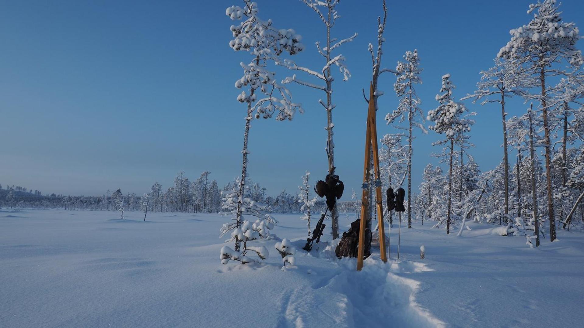 Skog Aurora Igloos Villa Kalix Buitenkant foto